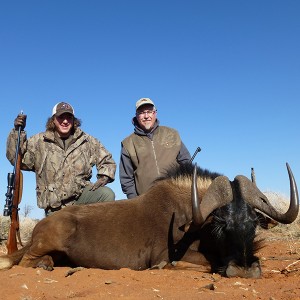 Black Wildebeest hunt with Wintershoek Johnny Vivier Safaris