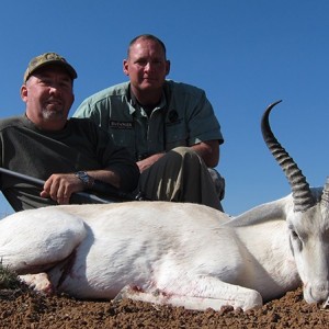 White Springbok hunt with Wintershoek Johnny Vivier Safaris