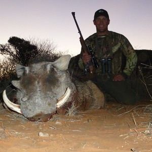 Warthog hunt with Wintershoek Johnny Vivier Safaris