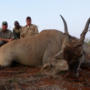 Eland hunt with Wintershoek Johnny Vivier Safaris