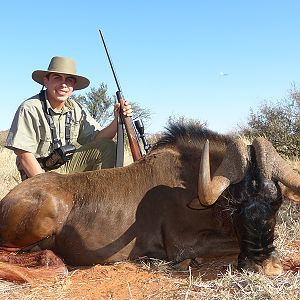 Black Wildebeest hunt with Wintershoek Johnny Vivier Safaris