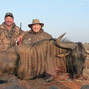 Blue Wildebeest hunt with Wintershoek Johnny Vivier Safaris