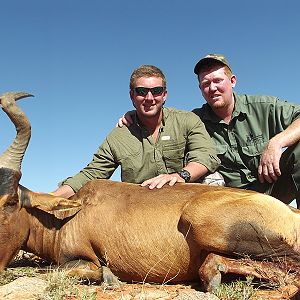 Hartebeest hunt with Wintershoek Johnny Vivier Safaris