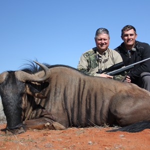 Blue Wildebeest hunt with Wintershoek Johnny Vivier Safaris