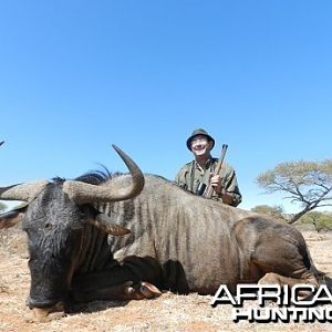 Blue Wildebeest hunt with Wintershoek Johnny Vivier Safaris