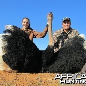 Ostrich hunt with Wintershoek Johnny Vivier Safaris