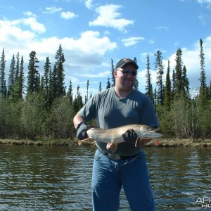 George lake Northern Pike