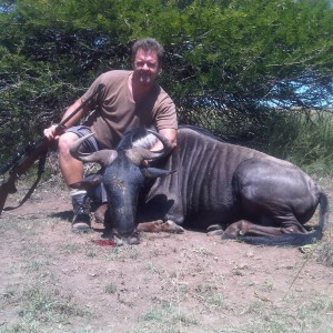 Blue Wildbeest