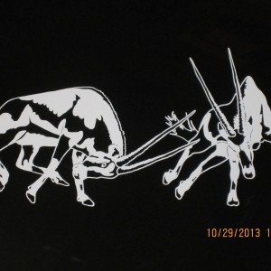 Fighting Gemsbok Decal Stickers