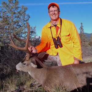 2013 Mule Deer X Blacktail Buck