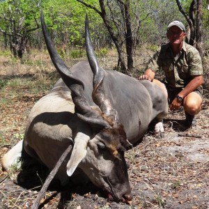 Eland Tanzania