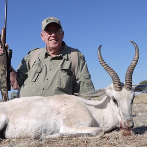 White Springbok hunt with Wintershoek Johnny Vivier Safaris