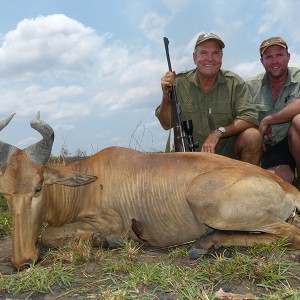 Lichtenstein Hartebeest hunt with Wintershoek Johnny Vivier Safaris