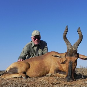 Red Hartebeest hunt with Wintershoek Johnny Vivier Safaris