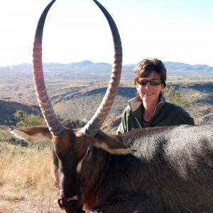 Waterbuck Namibia 2010