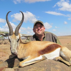 Springbok