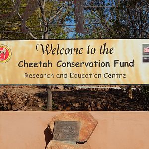 Cheetah Conservation Fund Namibia