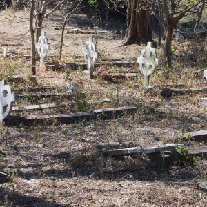 "The Terrible Ones"  32 Battalion Graves