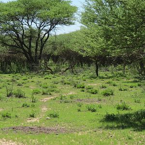 Namibia