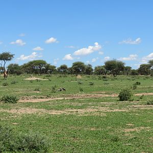 Namibia