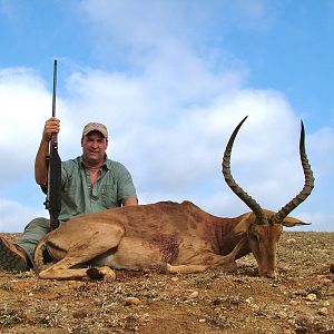 Southern Impala ~ Limpopo Valley, RSA