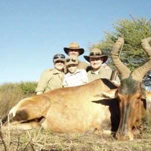 red Hartebeest hunted with Ozondjahe Hunting Safaris in Namibia