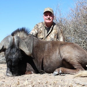 Black Wildebeest hunted with Ozondjahe Hunting Safaris in Namibia