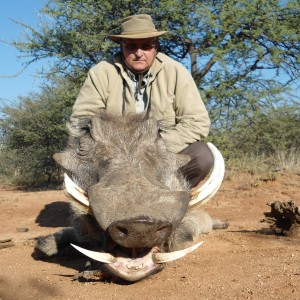 Warthog hunted with Ozondjahe Hunting Safaris in Namibia