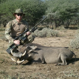 Warthog hunted with Ozondjahe Hunting Safaris in Namibia