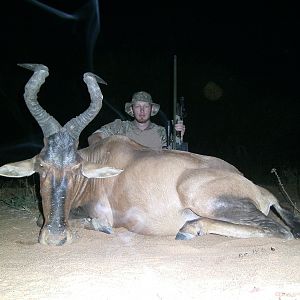 Red Hartebeest hunted with Ozondjahe Hunting Safaris in Namibia