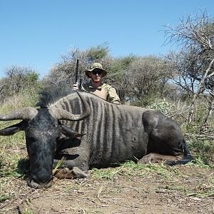 Blue Wildebeest hunted with Ozondjahe Hunting Safaris in Namibia