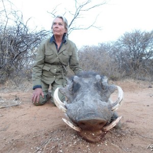 Warthog hunted with Ozondjahe Hunting Safaris in Namibia