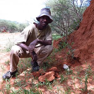 Omajowa termite hill mushrooms Namibia