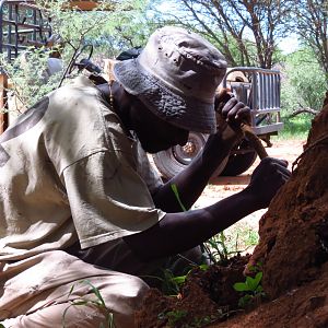 Omajowa termite hill mushrooms Namibia