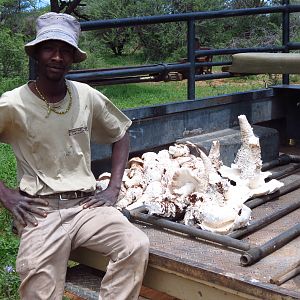 Omajowa termite hill mushrooms Namibia