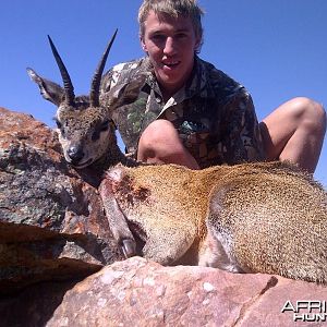 Klipspringer ~ Soutpansberg , RSA