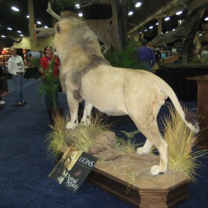 Taxidermy at Safari Club International Convention