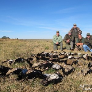 Umdende Hunting Safaris Bird Hunting