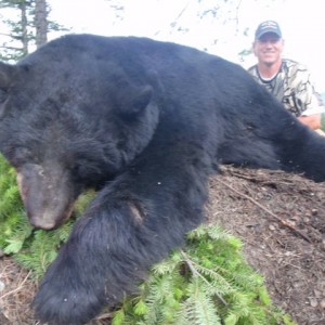 Black Bear Hunt in Canada