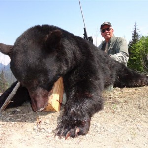 Black Bear Hunt in Canada