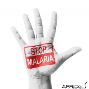 April 25 is World Malaria Day