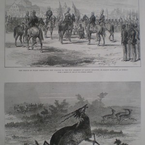 Hunting with Cheetahs near Baroda India 1875