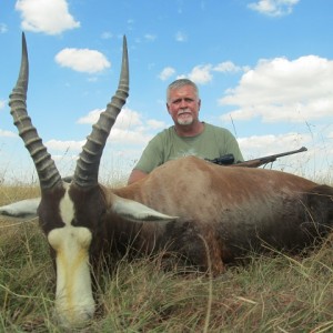 Blesbok