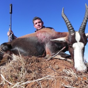 Bontebok