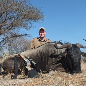 Blue wildebeest