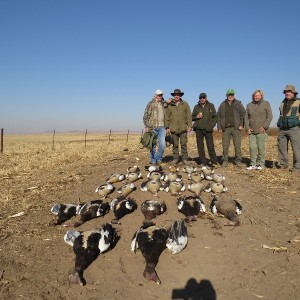 Umdende Hunting Safaris