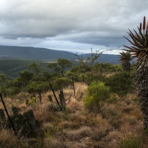 Nature Photo of Tootabi Hunting Safaris from mountain