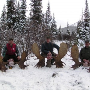 British Columbia Moose Hunt