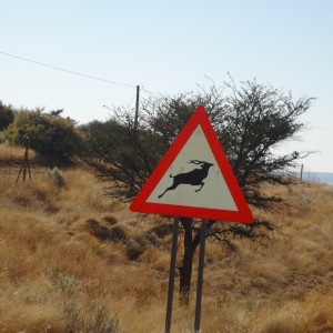 kudu crossing sign