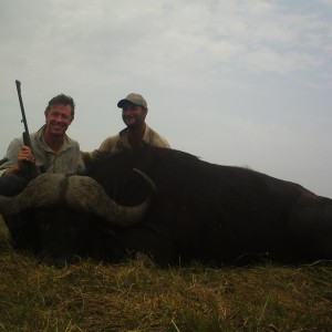 Mozambique Buffalo